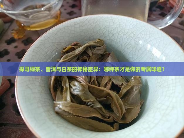 绿茶和普洱茶白茶区别