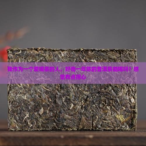 一年的普洱茶可以喝吗