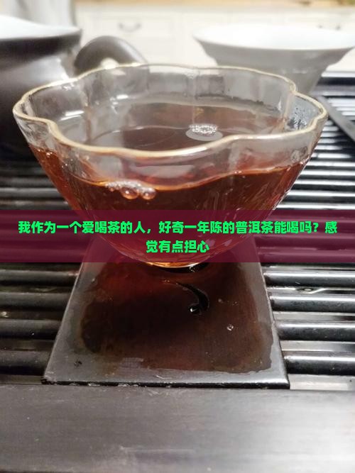 一年的普洱茶可以喝吗