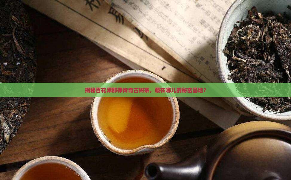 百花潭古树茶的位置