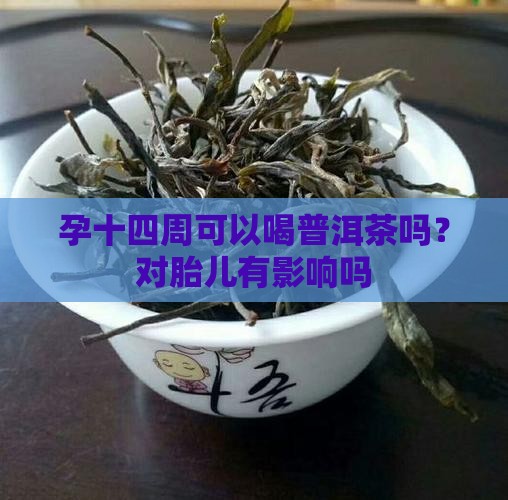 孕十四周可以喝普洱茶吗