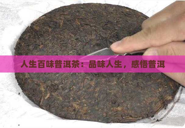 人生百味普洱茶