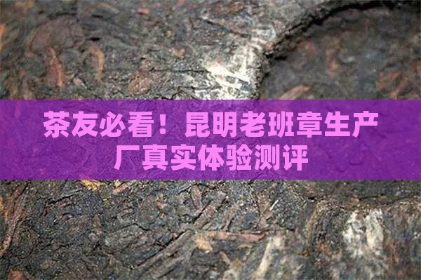 昆明老班章生产厂