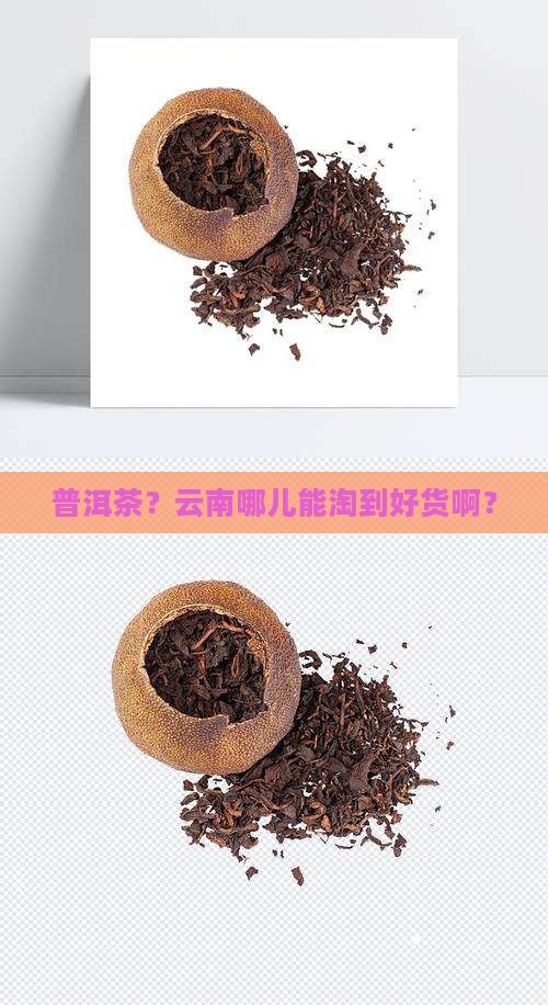 普洱茶云南哪里买