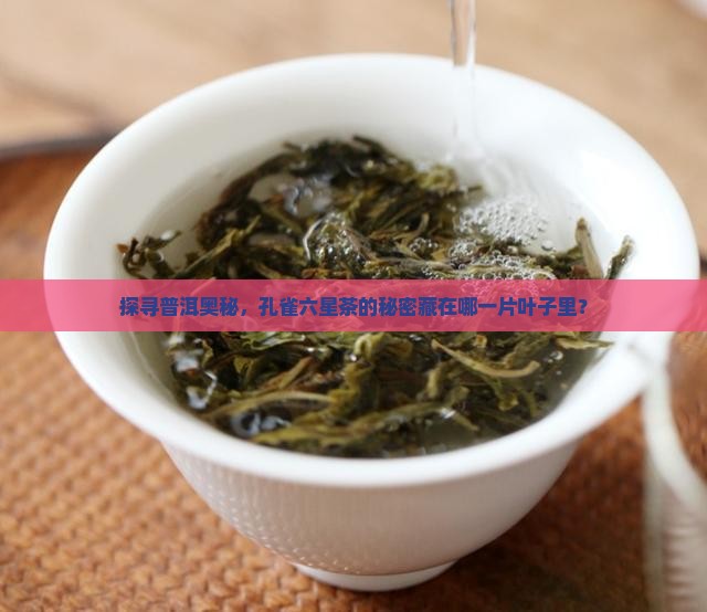孔雀六星普洱茶