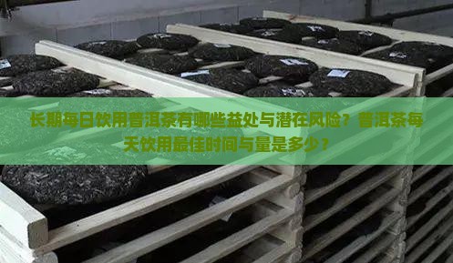 天天上饮普洱茶怎么样
