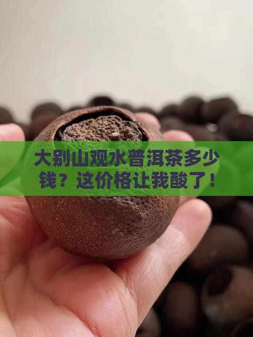 大别山观水普洱茶价格表