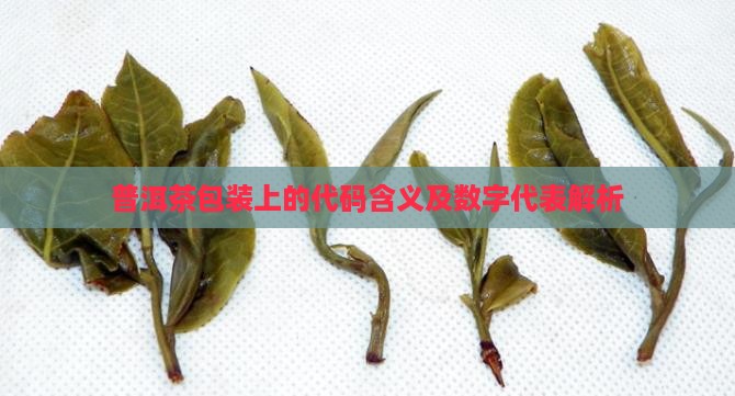 普洱茶包装上的代码含义