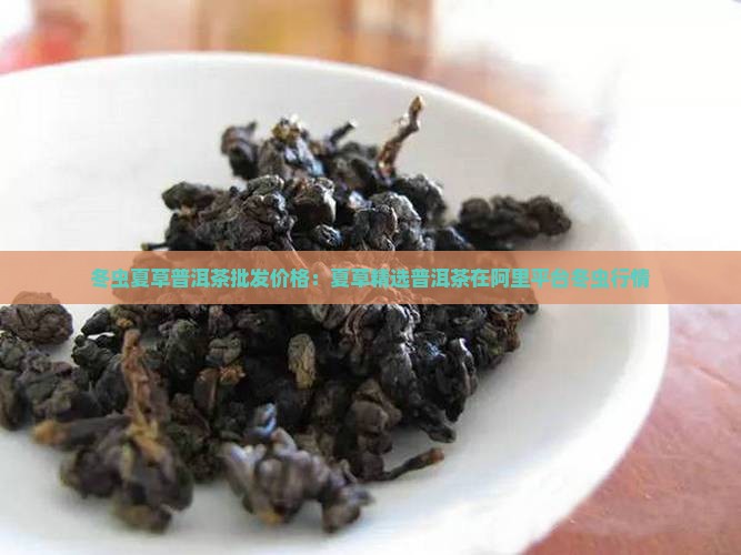 冬丛夏草普洱茶价格