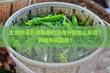 生普的汤色熟普汤色怎么形容 生普的汤色熟普汤色怎么形容