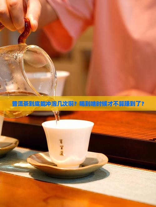 普洱茶推荐冲泡几次