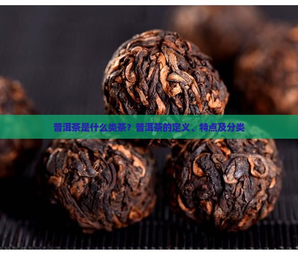 普洱茶是什么类茶