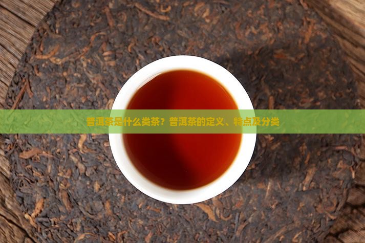 普洱茶是什么类茶