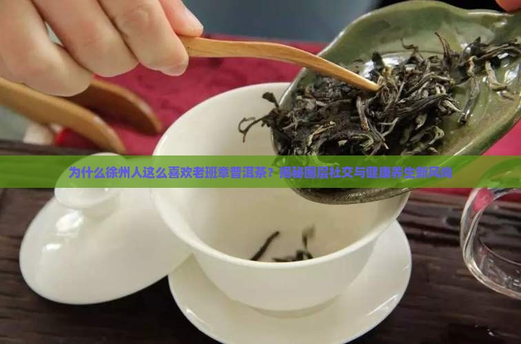 徐州老班章普洱茶