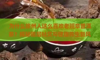 徐州老班章普洱茶