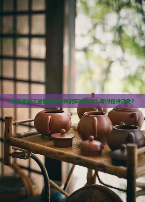 大益孟海之星获金奖普洱茶