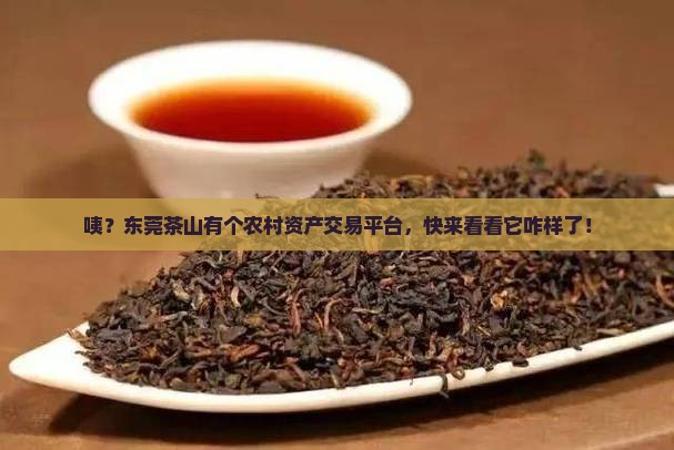 东莞茶山农村资产交易平台