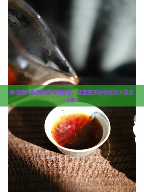 博尚勐托普洱茶