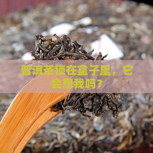 普洱茶放密封盒里
