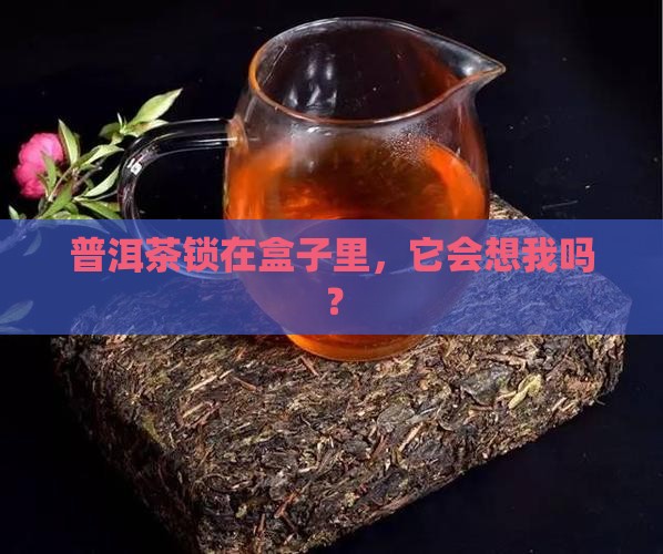 普洱茶放密封盒里
