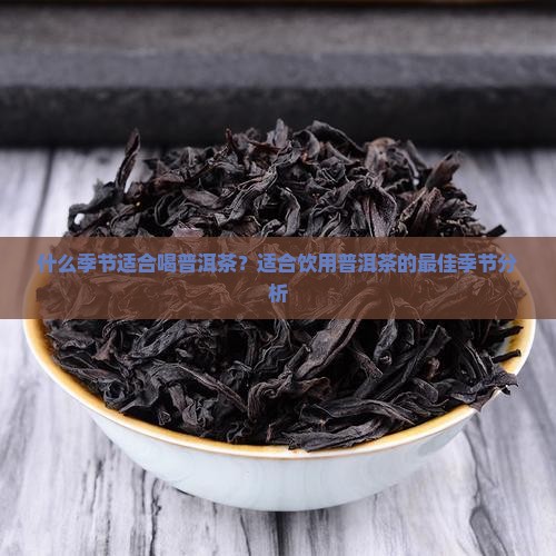 什么季节适合喝普洱茶