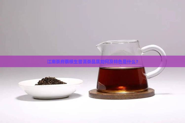 江南茶府蔡根生普洱茶