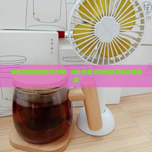 青普洱茶的功效及作用
