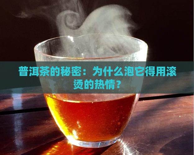 喝普洱茶的时候为什么要很热