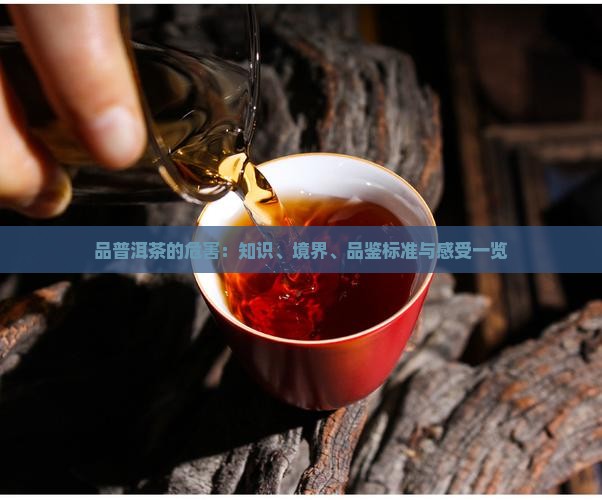 品普洱茶的危害
