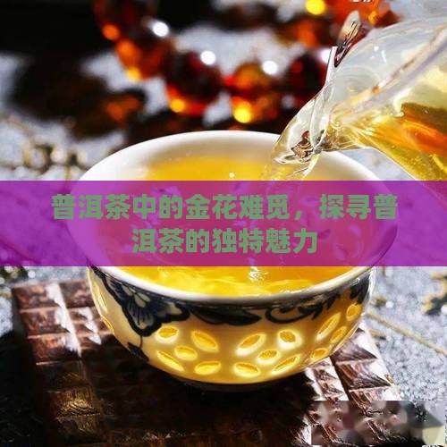 普洱茶金花难觅吗