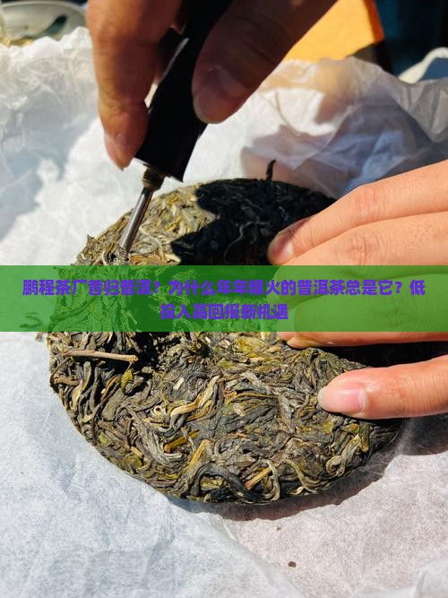 鹏程茶厂昔归普洱