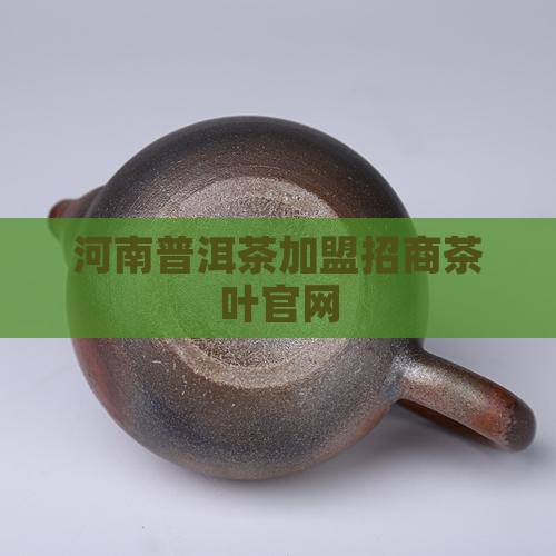 河南普洱茶招商加盟官网