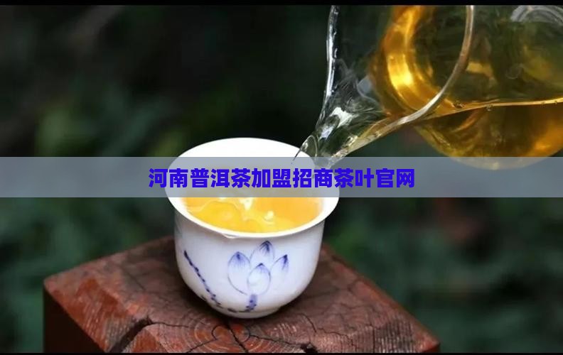 河南普洱茶招商加盟官网