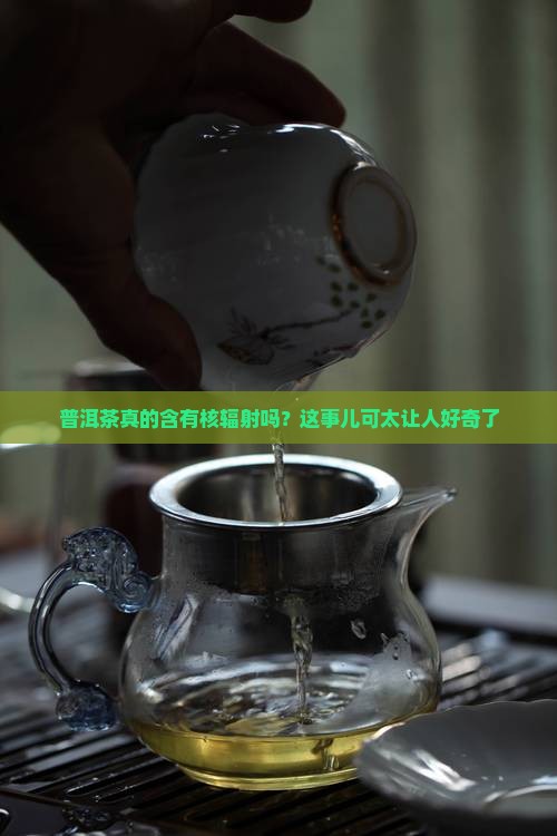 普洱茶有核辐射吗
