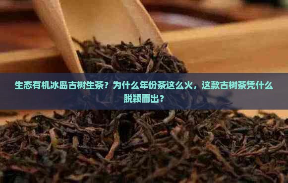 生态有机冰岛古树生茶