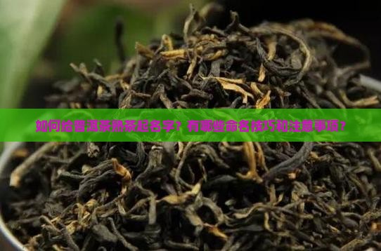普洱茶熟茶怎么起名字