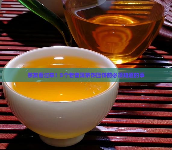 普洱茶老料新压好处