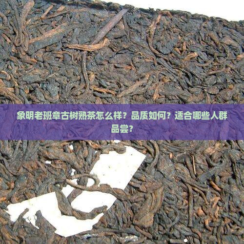 象明老班章古树熟茶