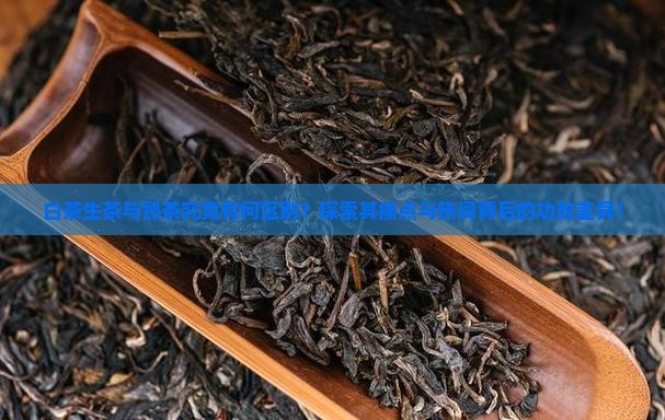 白茶生茶和熟茶的区别与功效