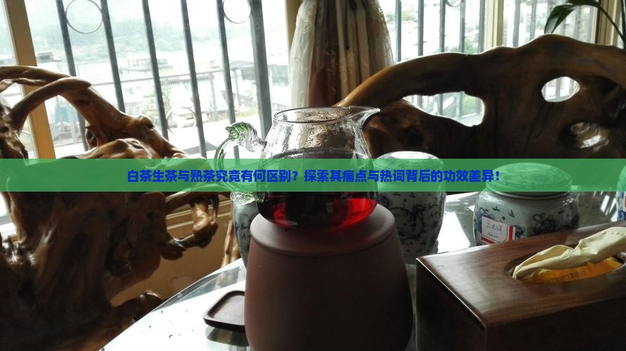 白茶生茶和熟茶的区别与功效