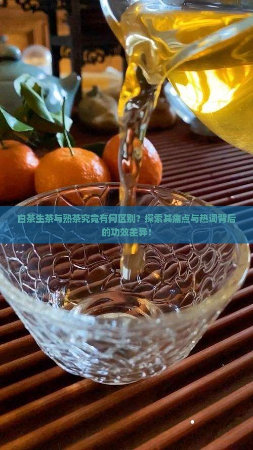 白茶生茶和熟茶的区别与功效