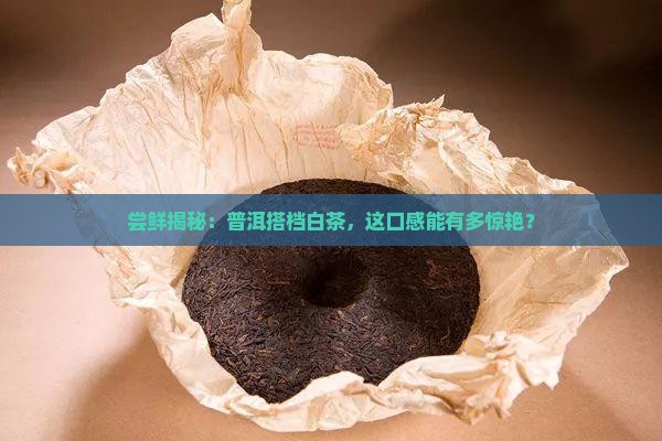 普洱茶加白茶口感怎么样