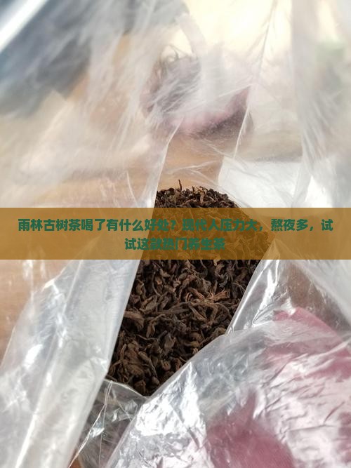 雨林古树茶喝了有什么好处