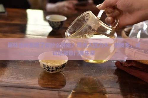 雨林古树茶喝了有什么好处