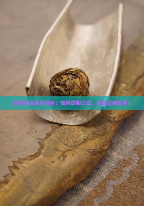 如何挑选正规普洱茶
