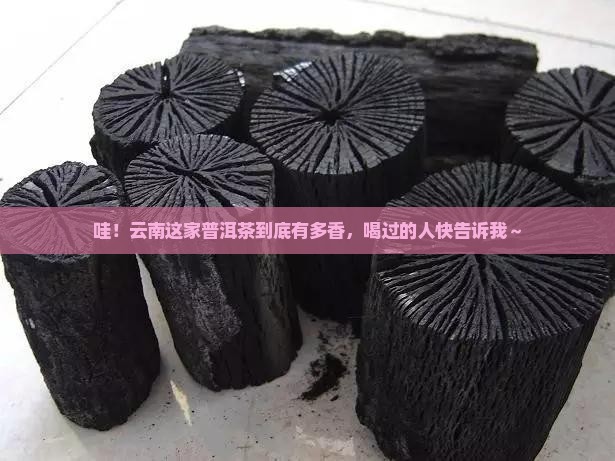 云南国典普洱茶