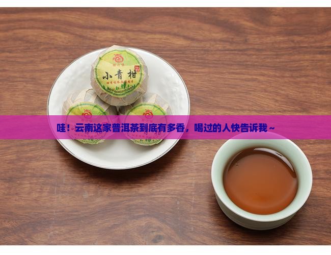 云南国典普洱茶