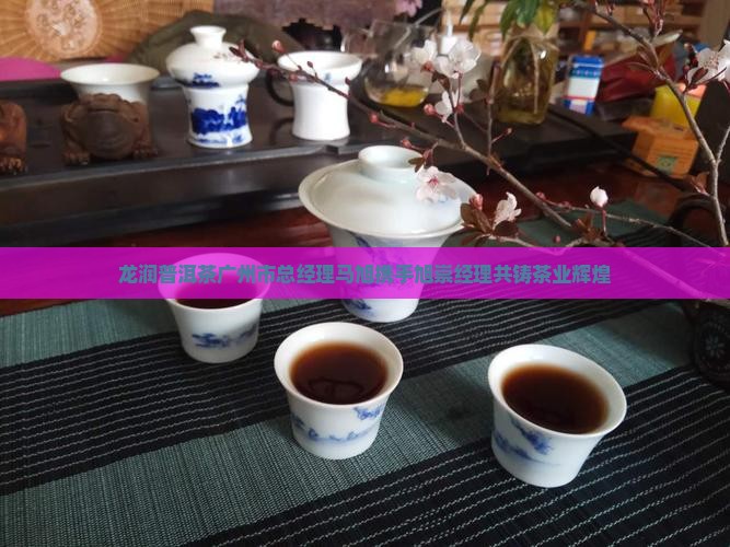 龙润普洱茶马总