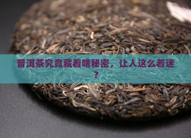 普洱茶真的那么神奇吗