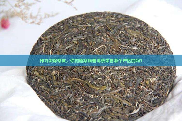 紫娟普洱茶是哪个产区的